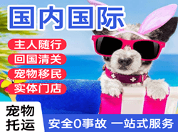 周水子机场物流国际宠物托运 【国